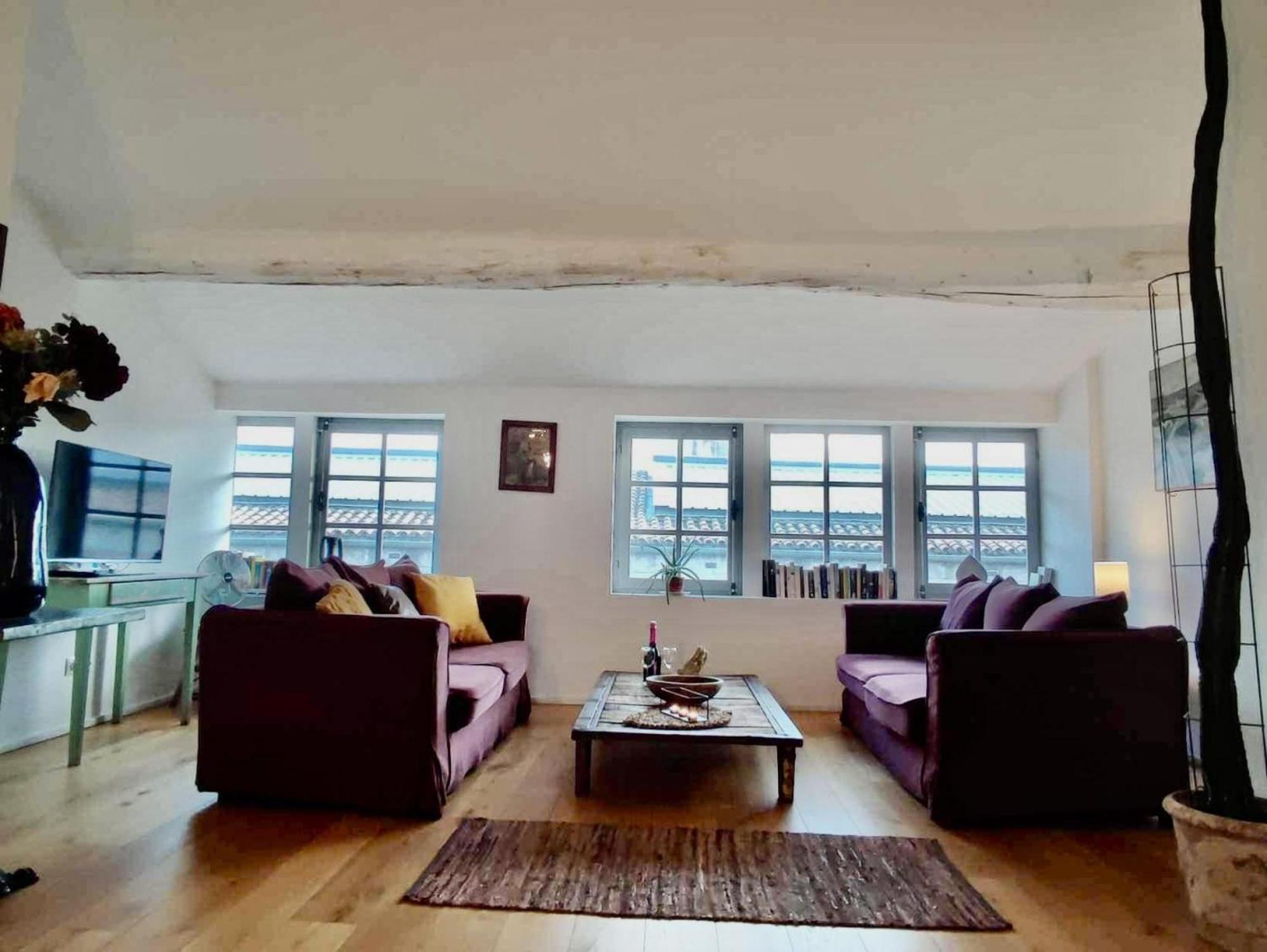 Loft Chic Verdun / Conciergeriedamecarcas Carcassonne Zewnętrze zdjęcie